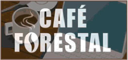 Café Forestal