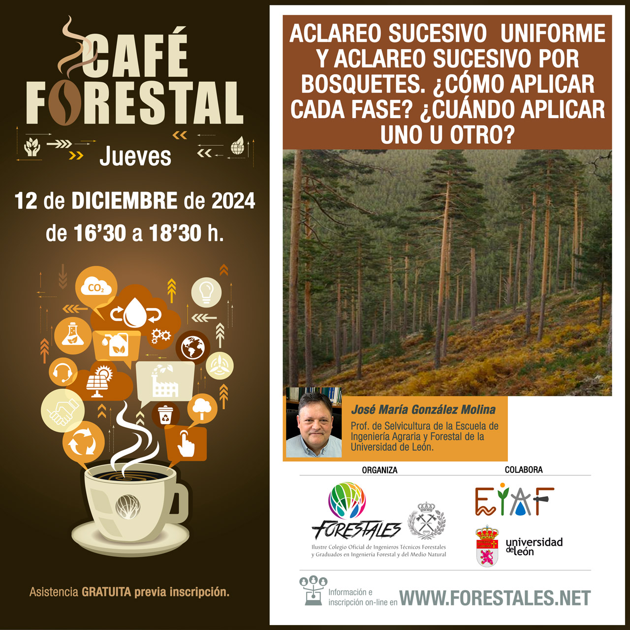 CAFÉ FORESTAL "ACLAREO SUCESIVO  UNIFORME Y ACLAREO SUCESIVO POR BOSQUETES. ¿CÓMO APLICAR CADA FASE? ¿CUÁNDO APLICAR UNO U OTRO?"