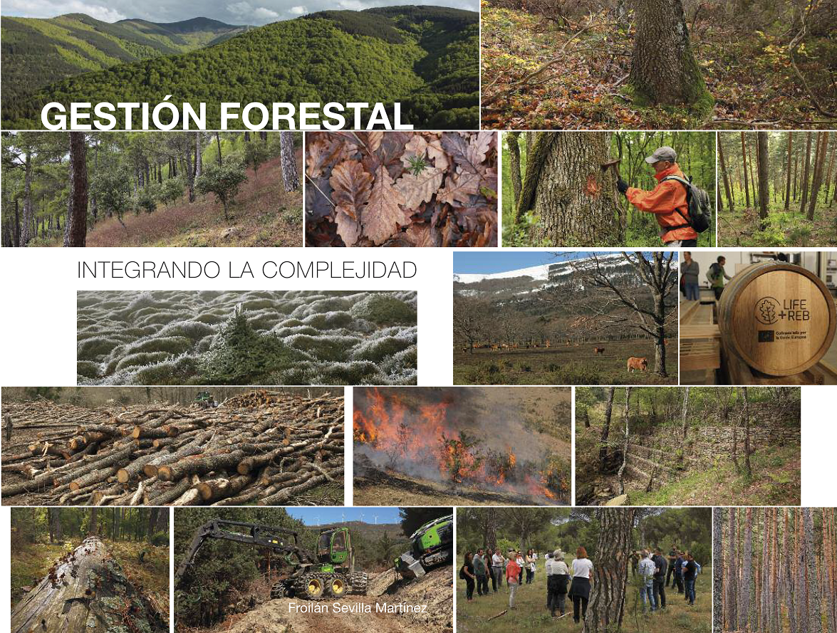 Preventa con descuento SOLO COLEGIADOS/AS del libro “GESTIÓN FORESTAL. INTEGRANDO LA COMPLEJIDAD”