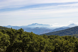 Acción climática, economía circular y política forestal, pilares claves de la Revolución Verde impulsada por la Junta de Andalucía